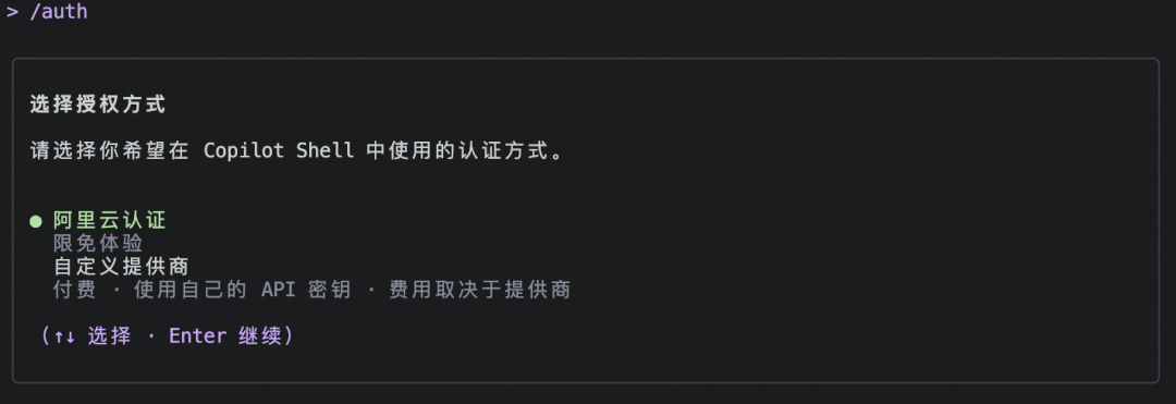 Copilot Shell 认证配置界面